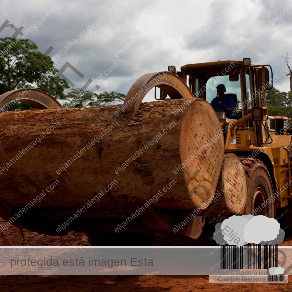 Logging vehicle at Alpicam logging company, East province, Camer
