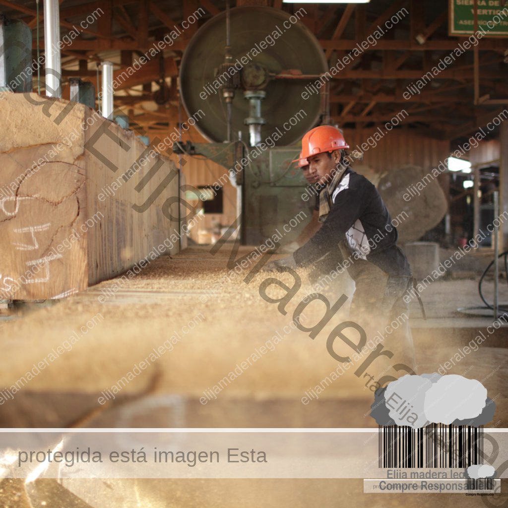 Workers cut and pile wood, Iñapari, Peru