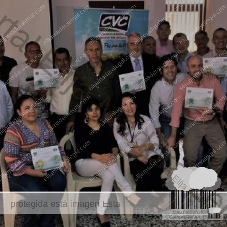 certificación madereros